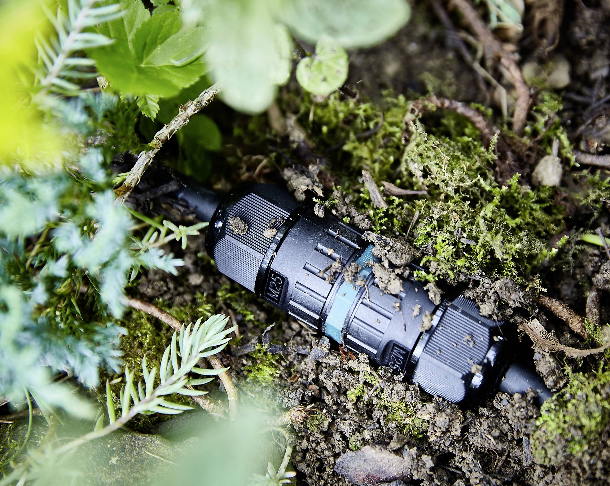 Eine schwarze Kabelverbindung liegt im Boden zwischen Pflanzen und Erde. Sie ist teilweise von Moos und Erde bedeckt.