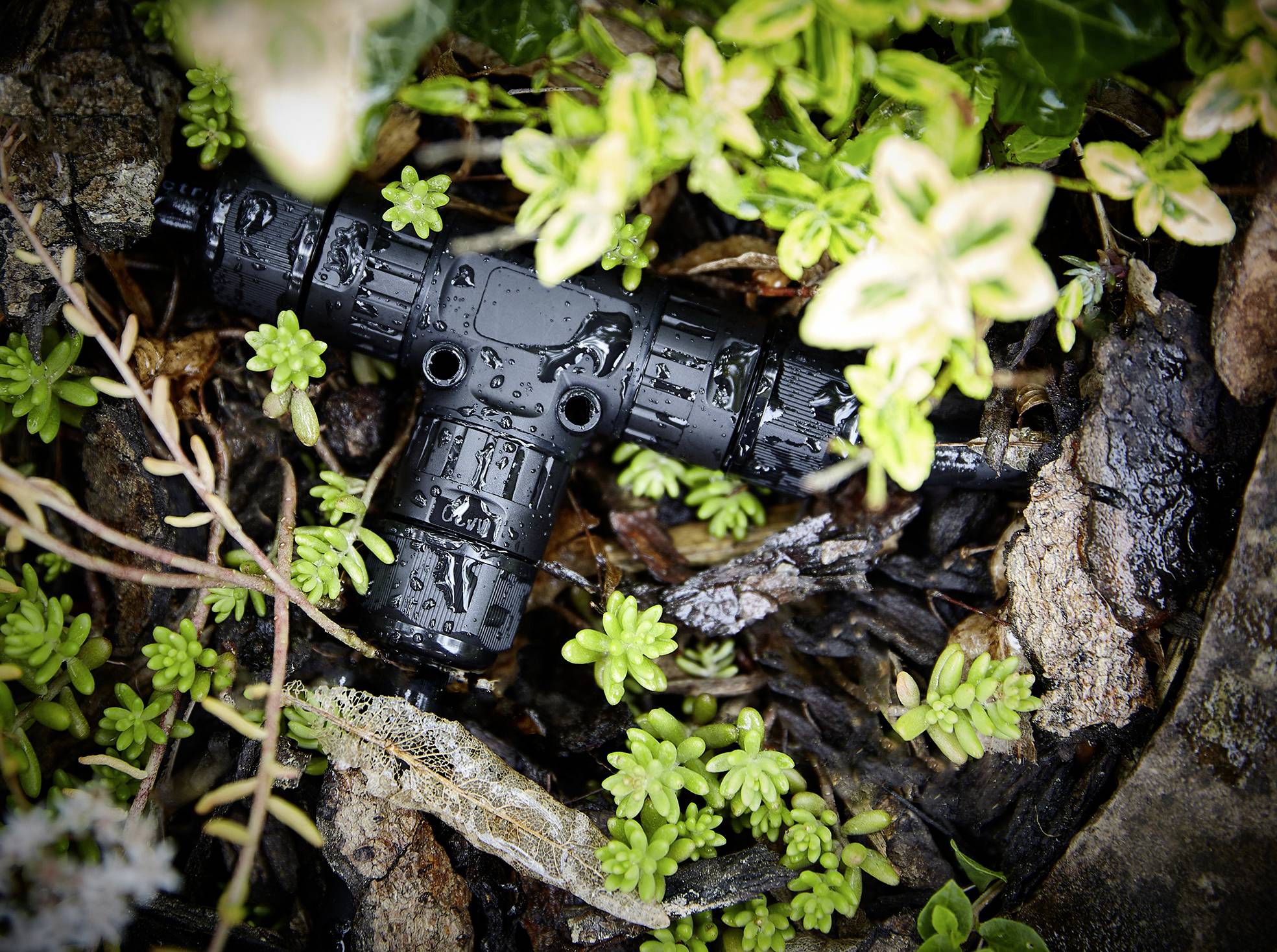 Ein schwarzes Kunststoffrohr mit einer T-Verbindung liegt im feuchten Laub und ist von grünem Laub umgeben.