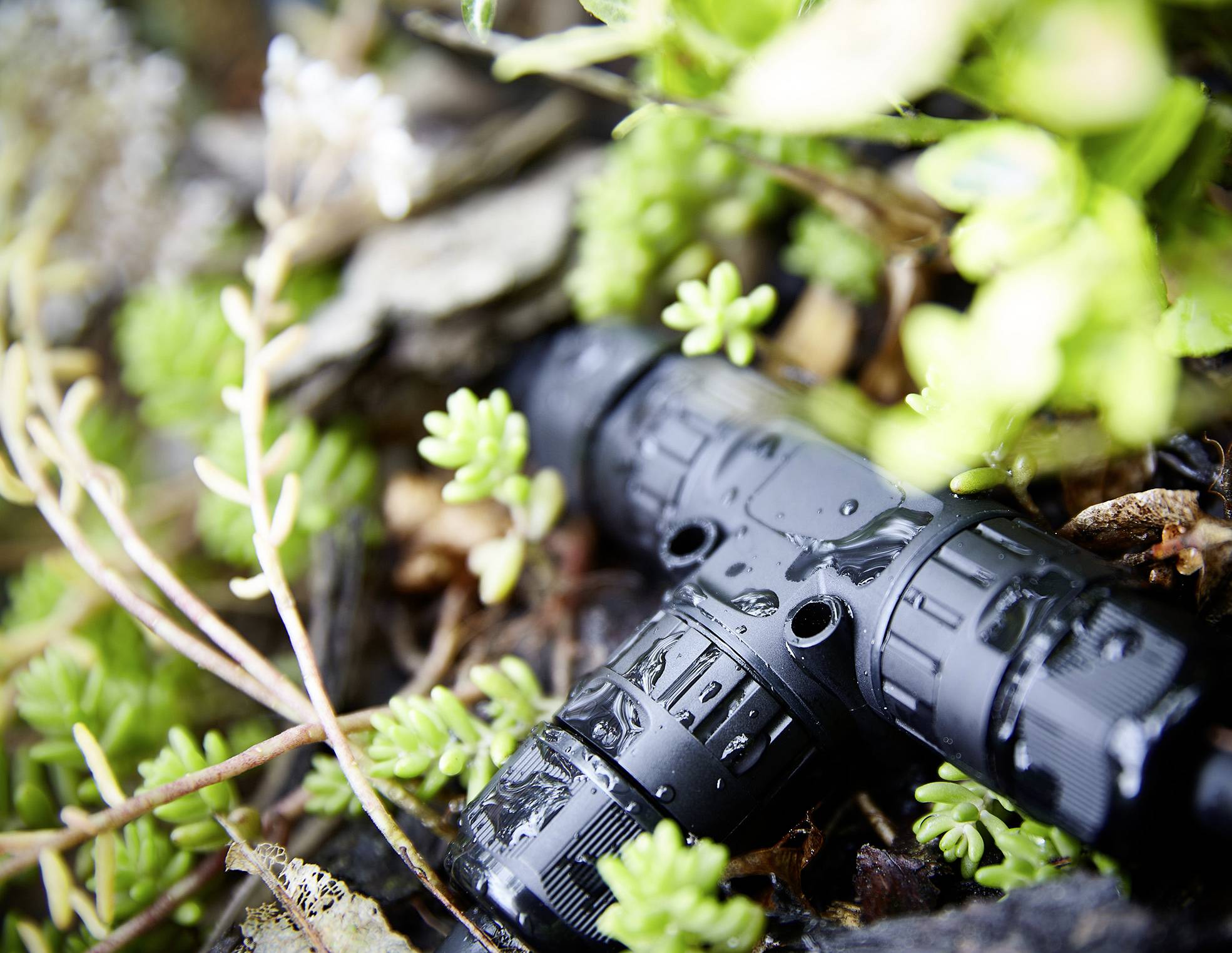 Ein schwarzes, zylinderförmiges Objekt liegt zwischen grünen Pflanzen und Blättern. Es ist nass und befindet sich im Freien.