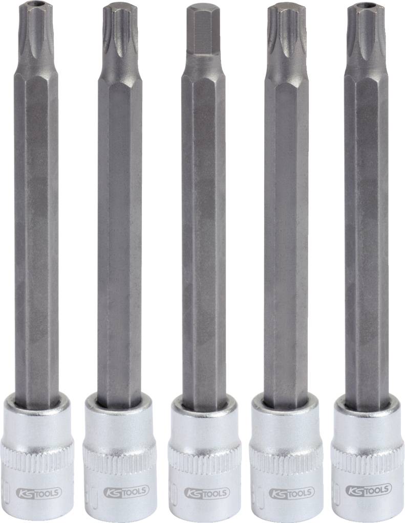 Fünf lange Steckbits unterschiedlicher Formen aufgereiht; geeignet für diverse Schraubentypen. Metallische Oberfläche, silberne Basis.