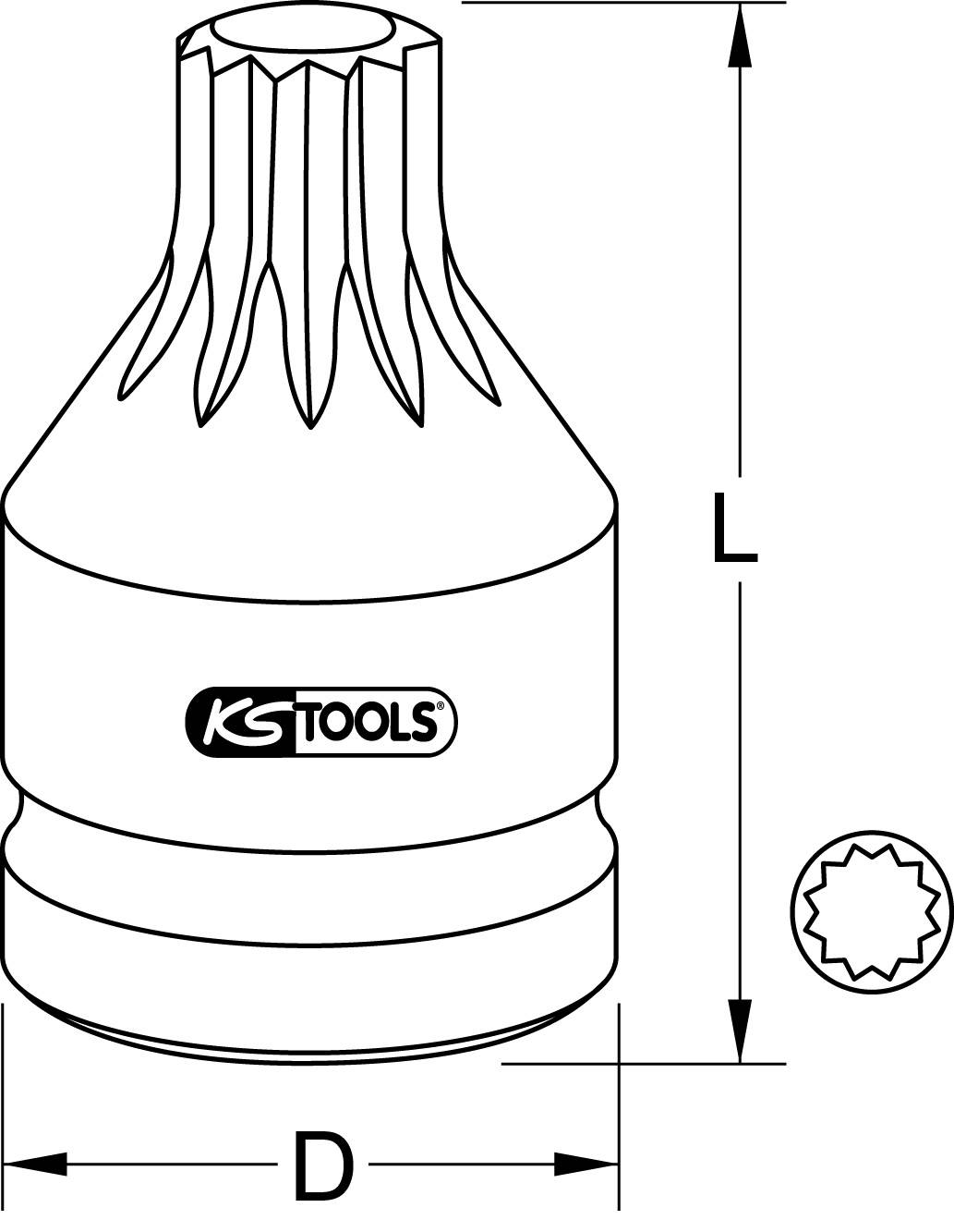 Abbildung eines Vielzahnnuss-Werkzeugs von KS Tools; zeigt die Maße L (Länge) und D (Durchmesser), sowohl frontal als auch seitlich.