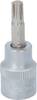KS Tools 9173923 9173923 RIBE Stecknuss M6 3/8" (10 mm)
