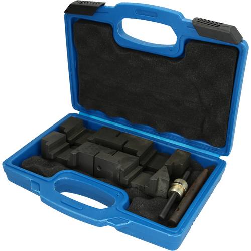 Brilliant Tools BT591500 Motor-Einstellwerkzeug-Satz für BMW M60, M62