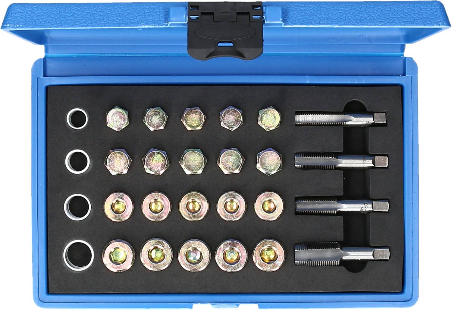 Ein blauer Werkzeugkasten mit Schrauben in verschiedenen Größen und Formen. Es gibt Ringe und Stifte auf der rechten Seite.