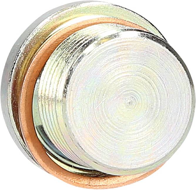Runder Metallschraubverschluss mit einer kupferfarbenen Dichtung, geeignet für mechanische oder industrielle Anwendungen.