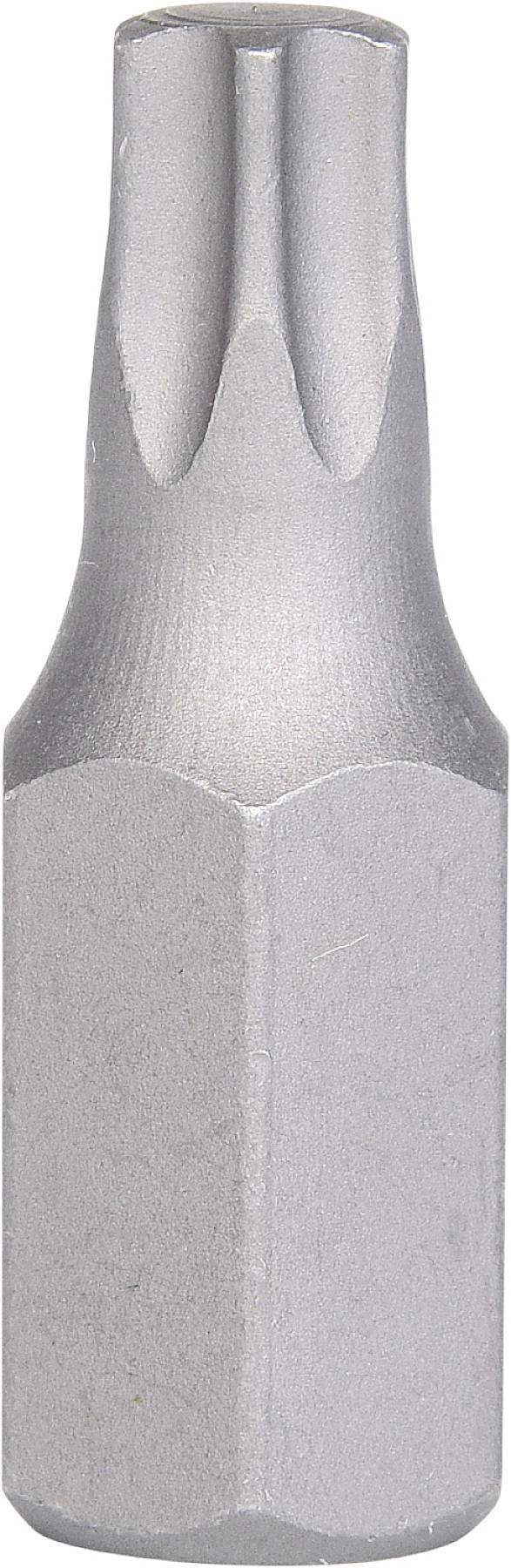 Metallischer Torx-Schraubendrehereinsatz mit sechszackigem Sternmuster, geeignet für den Einsatz mit passenden Schrauben.