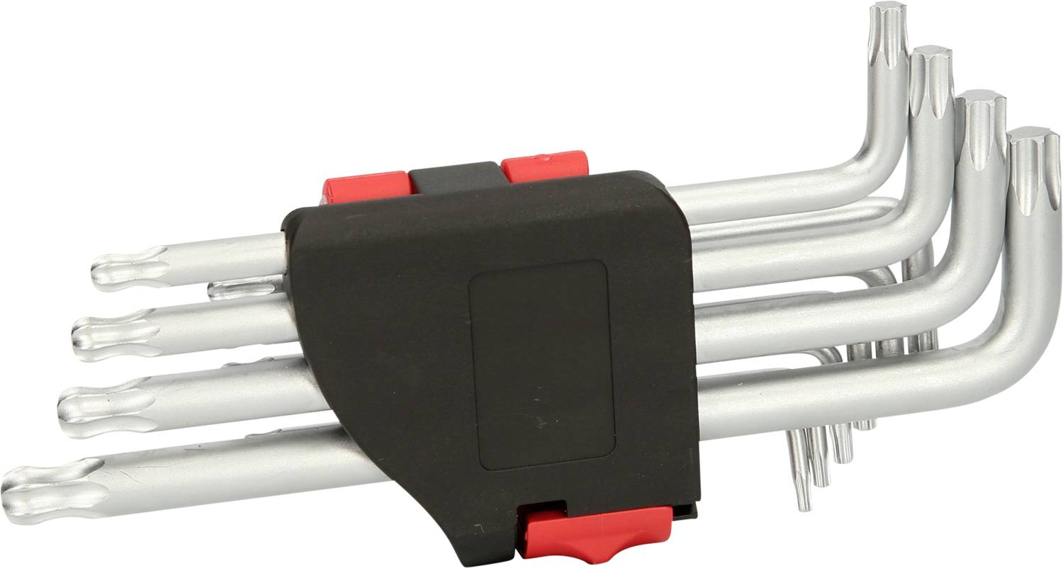 Ein Set von Torx-Schlüsseln in verschiedenen Größen, die sich in einem schwarzen Halter mit roten Verschlüssen befinden.