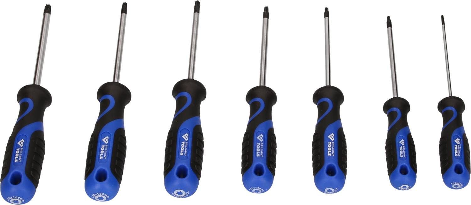 Sechs Schraubendreher mit blauen Griffen in verschiedenen Größen, von einem großen Kreuzschlitz bis zu einem kleinen Schlitz.