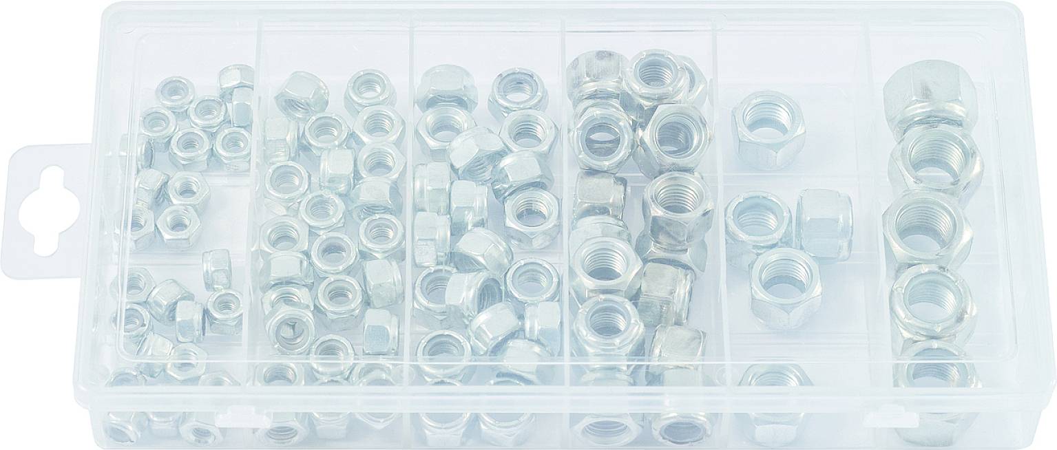 Ein transparenter Kunststoffkasten mit verschiedenen Größen von silbernen Muttern, sortiert in Fächer, auf weißem Hintergrund.