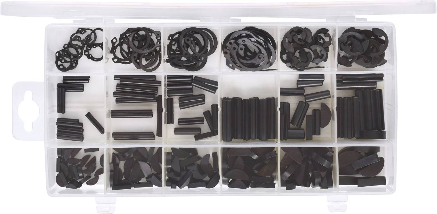 Plastikbox mit mehreren Fächern, die verschiedene schwarze Gummiringe und -stücke in verschiedenen Formen und Größen enthalten.