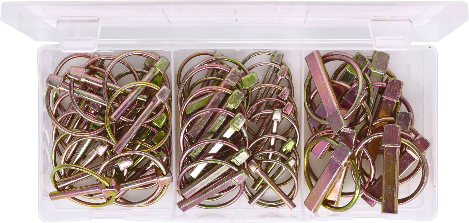 Eine offene Box mit zahlreichen bunten Splinten, die in drei Fächern organisiert sind.