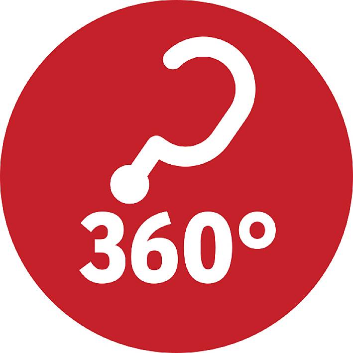 Das Bild zeigt ein rotes Symbol mit einem Fragezeichen und '360°', was auf umfassende Informationen oder Rundumsicht hinweist.