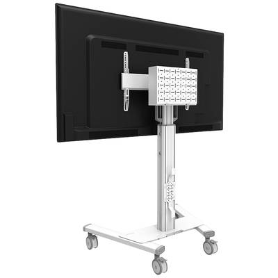 Rollständer mit großem Monitor, Rückansicht. Der Ständer aus Metall hat Rollen für Mobilität und eine verstellbare Haltevorrichtung.