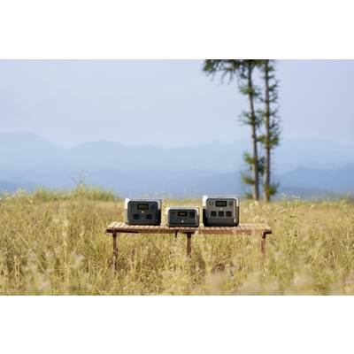 Drei tragbare Powerstations stehen auf einem Holztisch in einer Wiese mit einem Baum und Bergen im Hintergrund.
