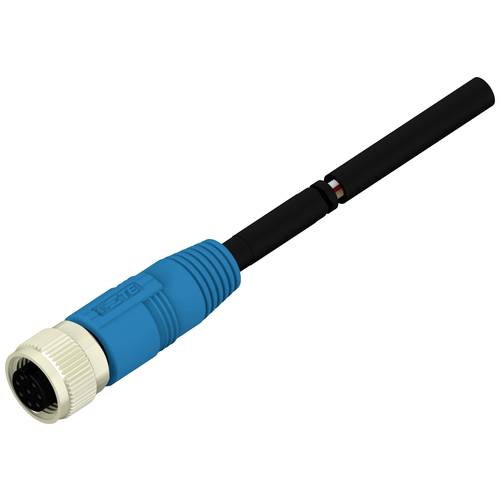 TE Connectivity T4151310008-001 Sensor-/Aktor-Steckverbinder, konfektioniert 5 St. Bag