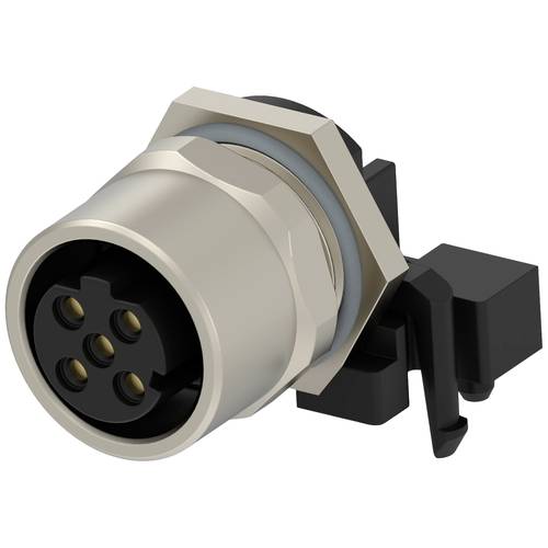 TE Connectivity T4145515031-001 Rundsteckverbinder Tray 10 St.