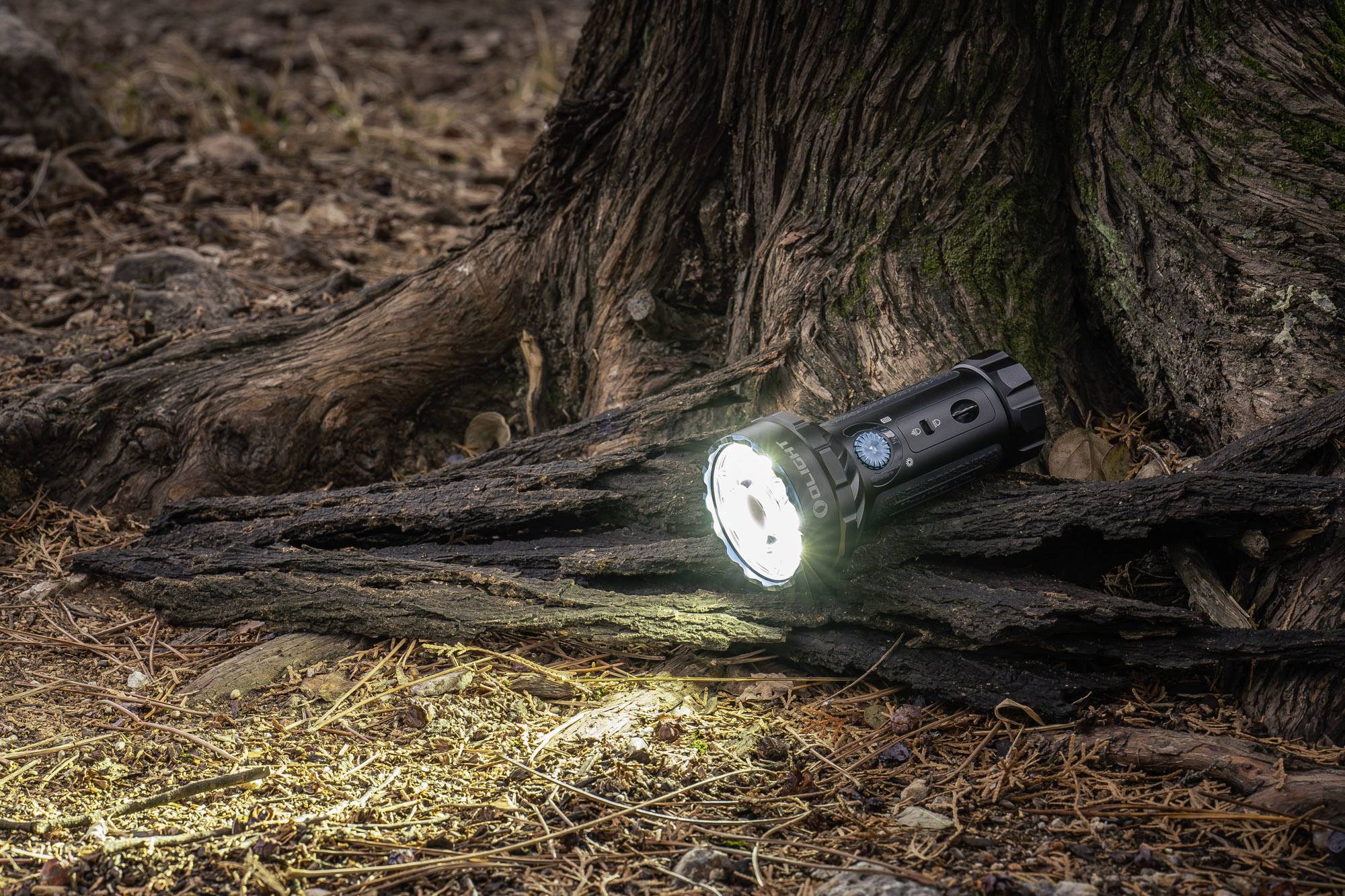 'Taschenlampe leuchtet auf Waldboden vor einem Baumstamm, beleuchtet Blätter und Zweige in natürlicher Umgebung.'