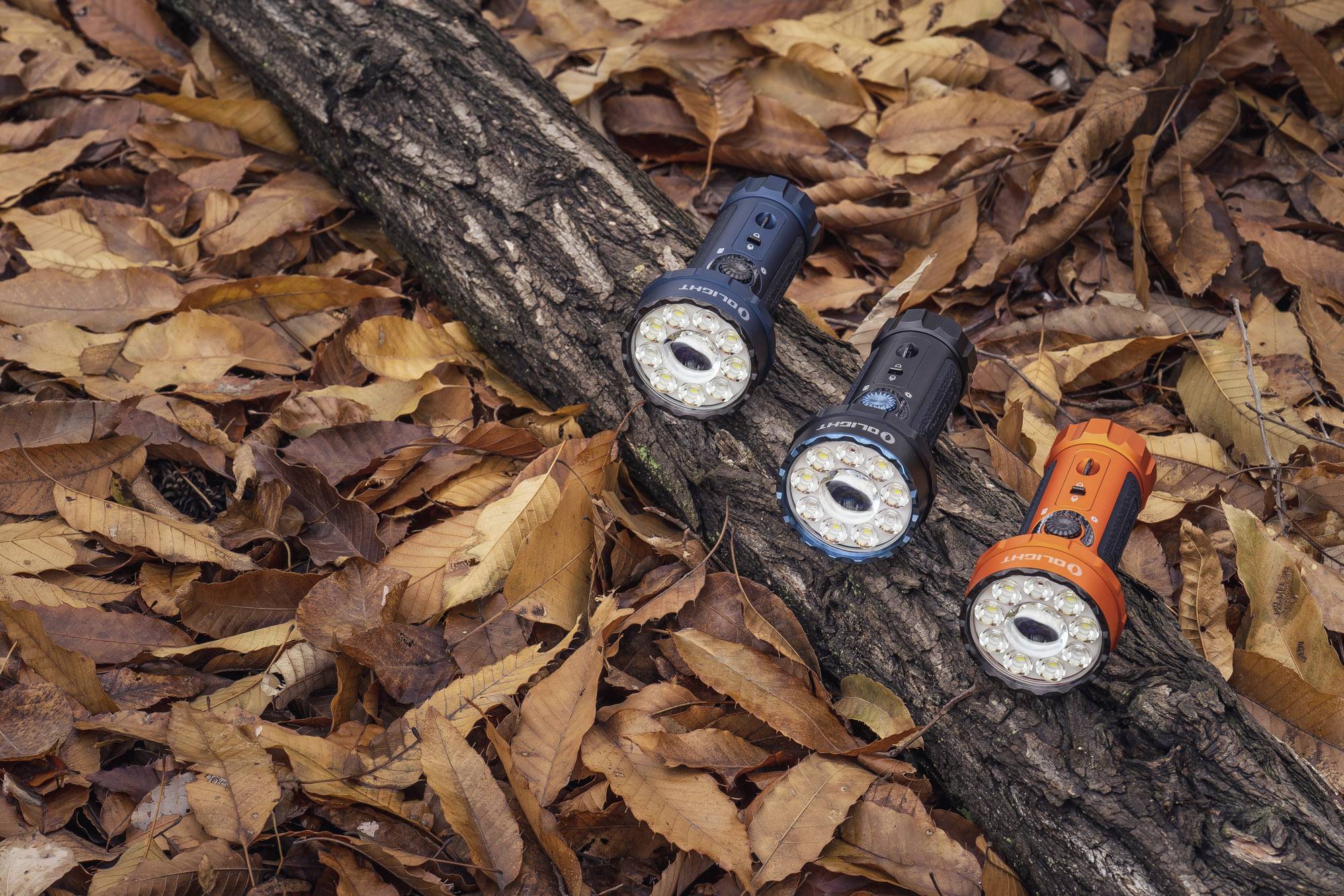 Drei Taschenlampen in verschiedenen Farben liegen auf einem Baumstamm, umgeben von Herbstblättern auf dem Waldboden.