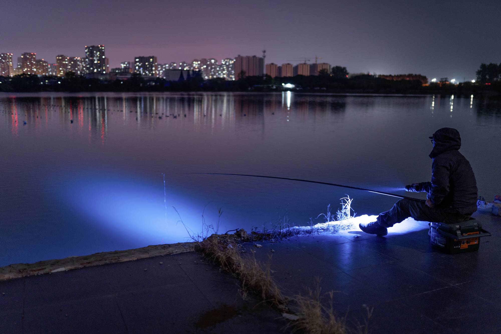 Eine Person angelt nachts am Ufer eines Sees, umgeben von Stadtlichtern. Das Wasser reflektiert blaues Licht.
