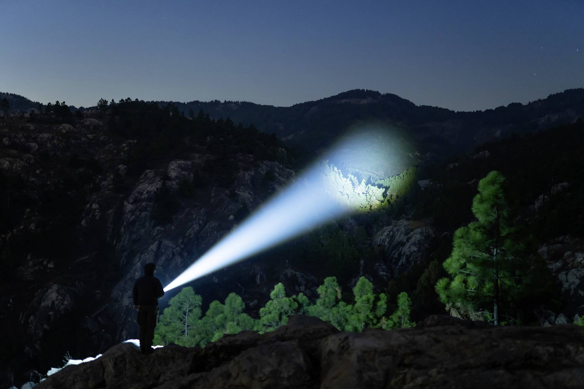 Eine Person steht nachts in einer felsigen Landschaft und leuchtet mit einer Taschenlampe auf einen Baum, der im Lichtkegel sichtbar ist.