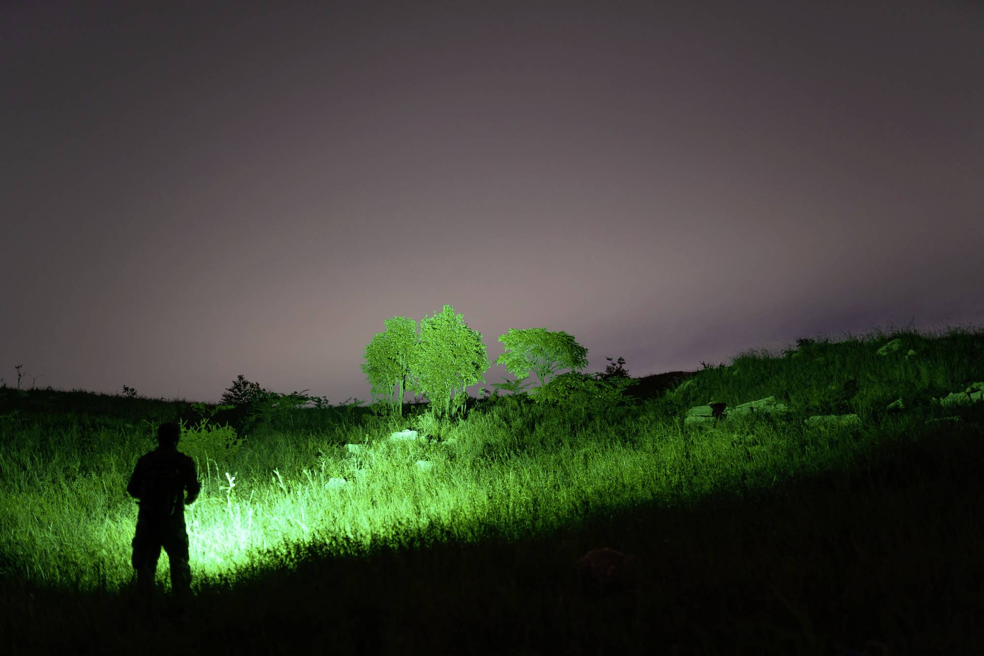 Ein Dunkelheit, beleuchtet von einem grünen Lichtstrahl, hebt Bäume und eine Silhouette hervor. Nachtlandschaft mit starkem Kontrast.