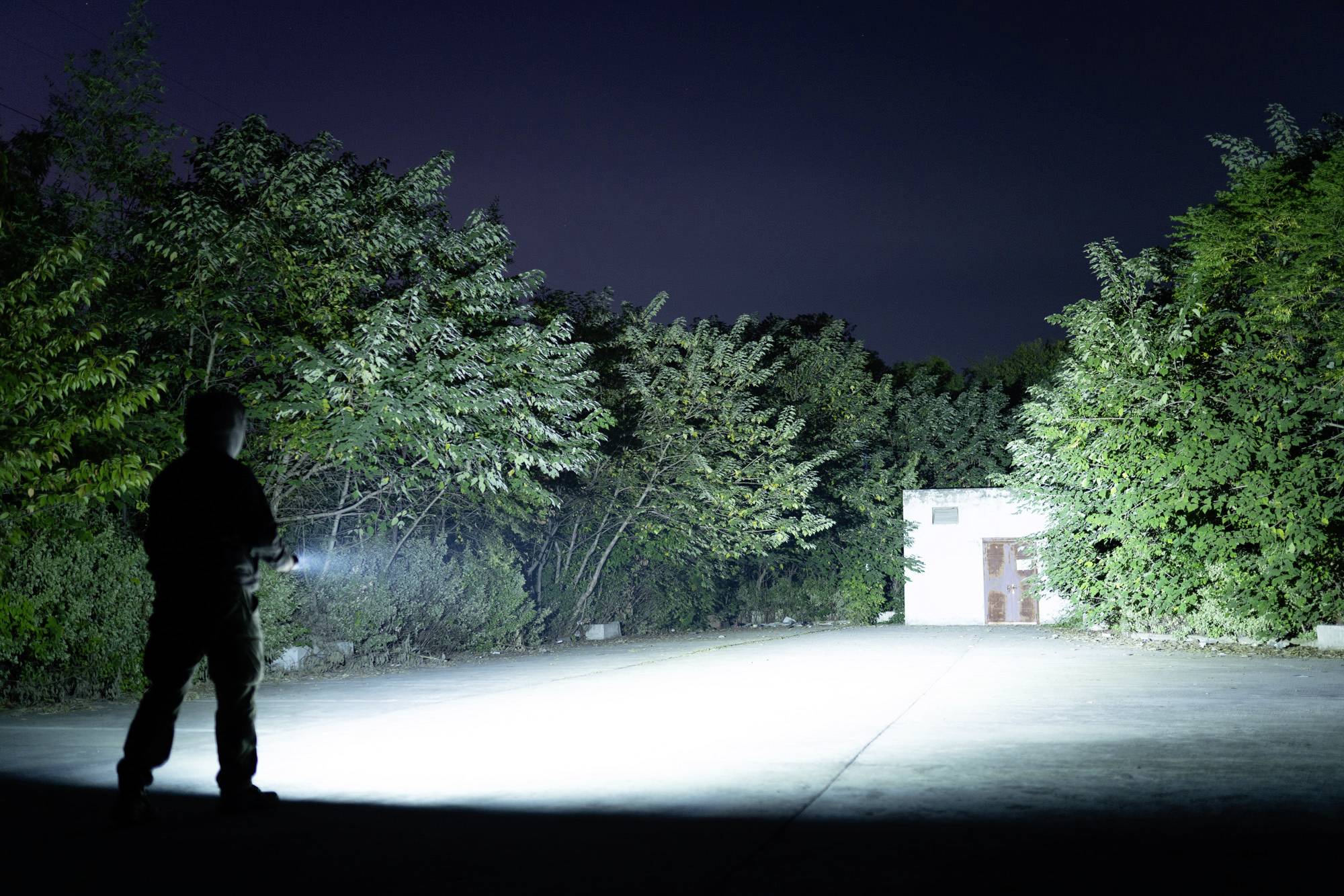 Eine Person beleuchtet mit einer Taschenlampe einen Weg in einem dunklen Wald, sichtbar ist auch ein kleines Gebäude im Hintergrund.