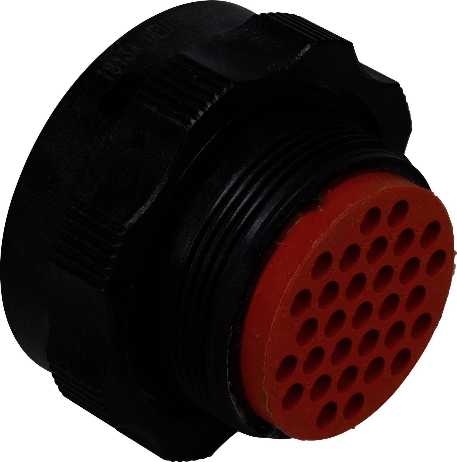 TE Connectivity WTC06B-24-31PN Rundsteckverbinder 1 St.