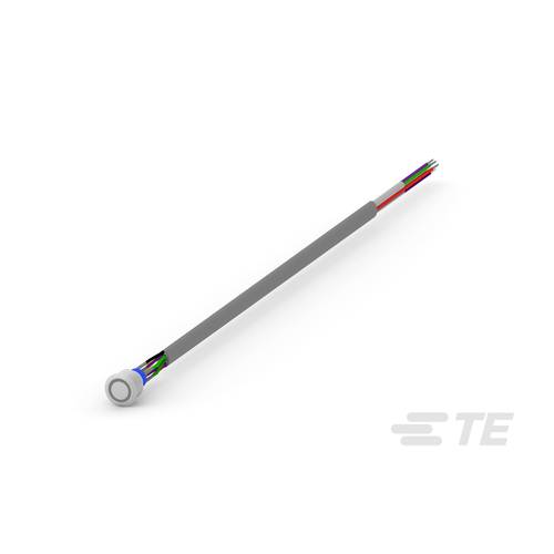 TE Connectivity 4-2317570-6 Druckschalter 1 St. Box