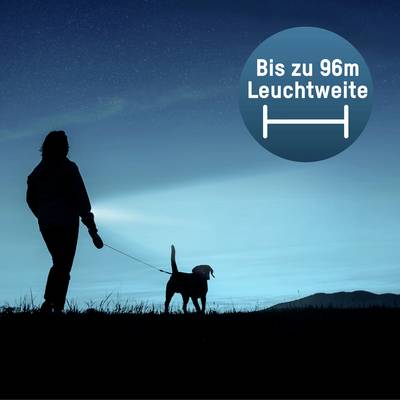 Ein Mensch bei Nacht geht mit einem Hund. Er hält eine Taschenlampe, die bis zu 96 Meter leuchtet, laut einem Kreisdiagramm.
