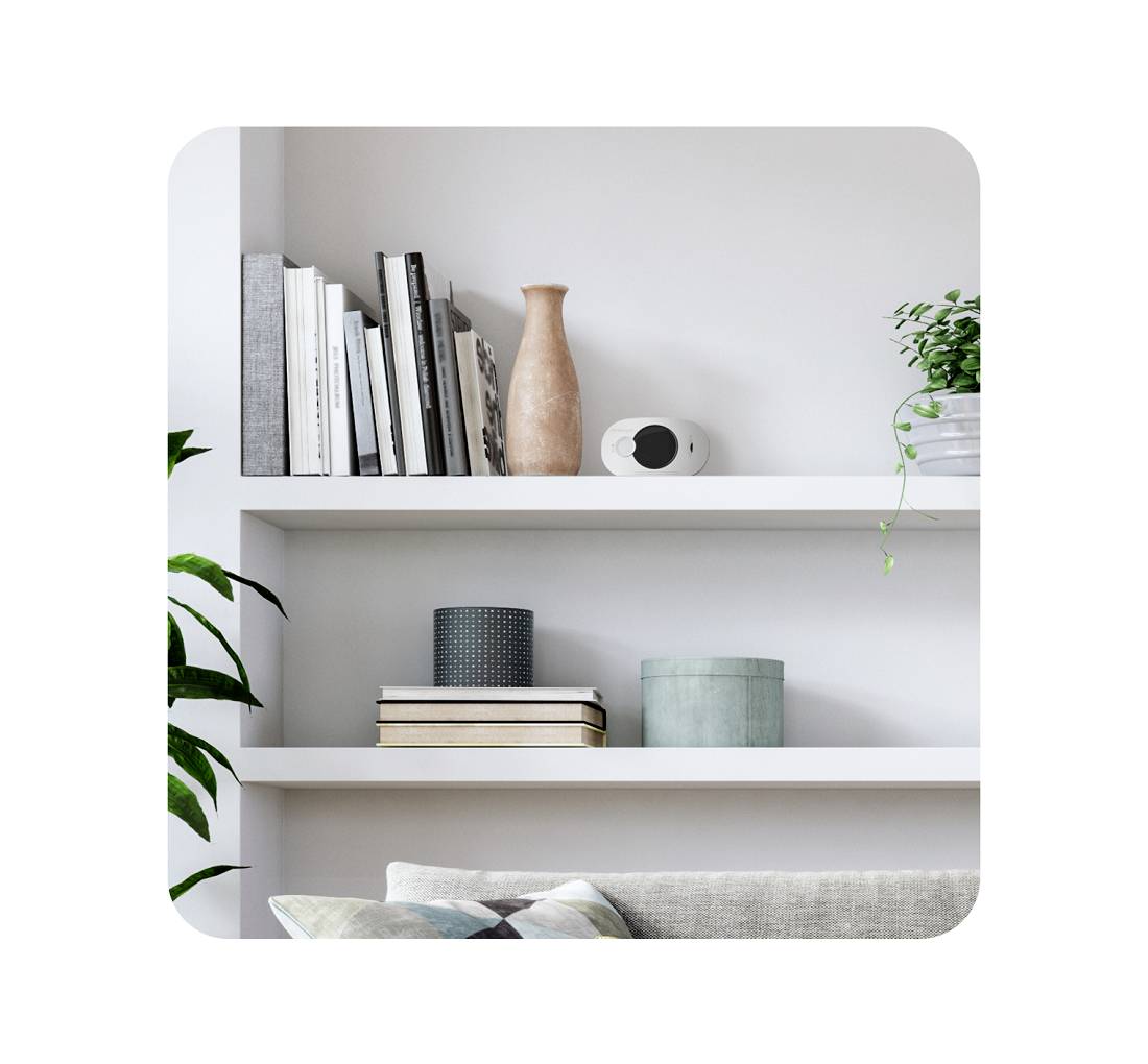 Ein helles Wohnzimmerregal mit Büchern, einer Vase, einem Lautsprecher und Pflanzen, arrangiert für moderne Einrichtung.