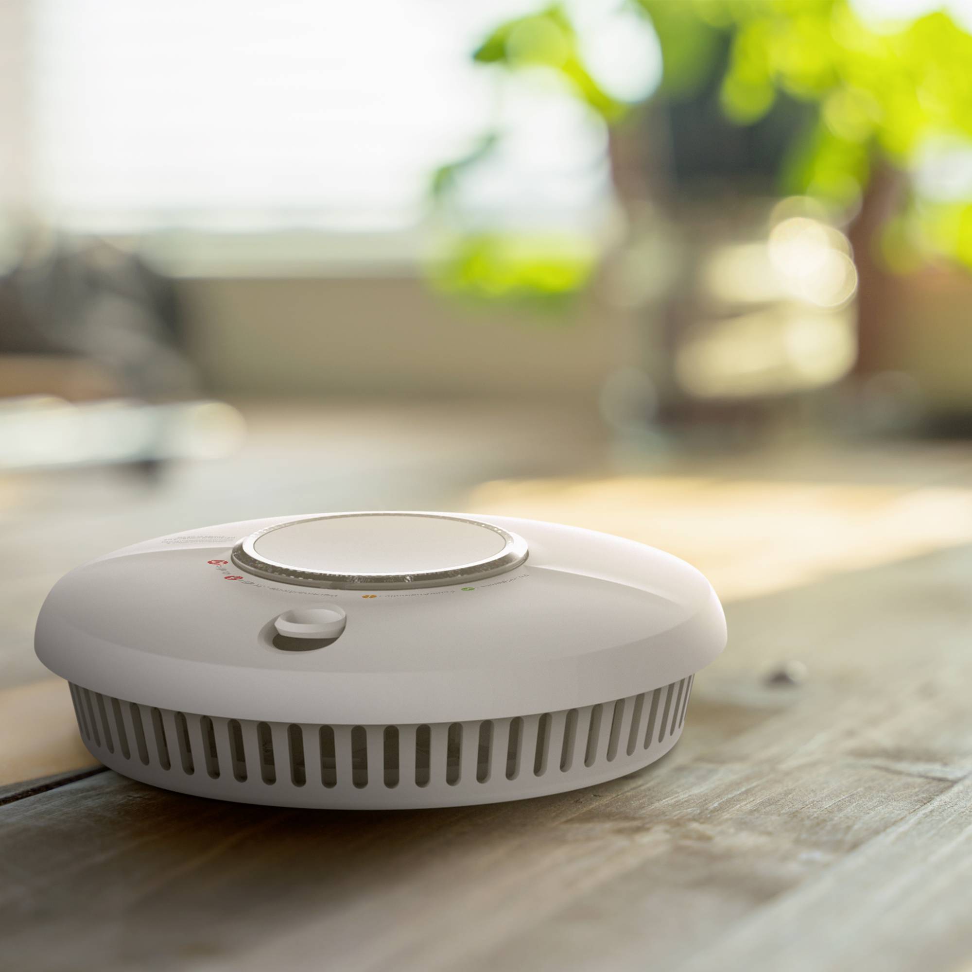 Ein Rauchmelder mit Testtaste und LEDs zur Anzeige des Betriebszustands, im Hintergrund eine Pflanze.