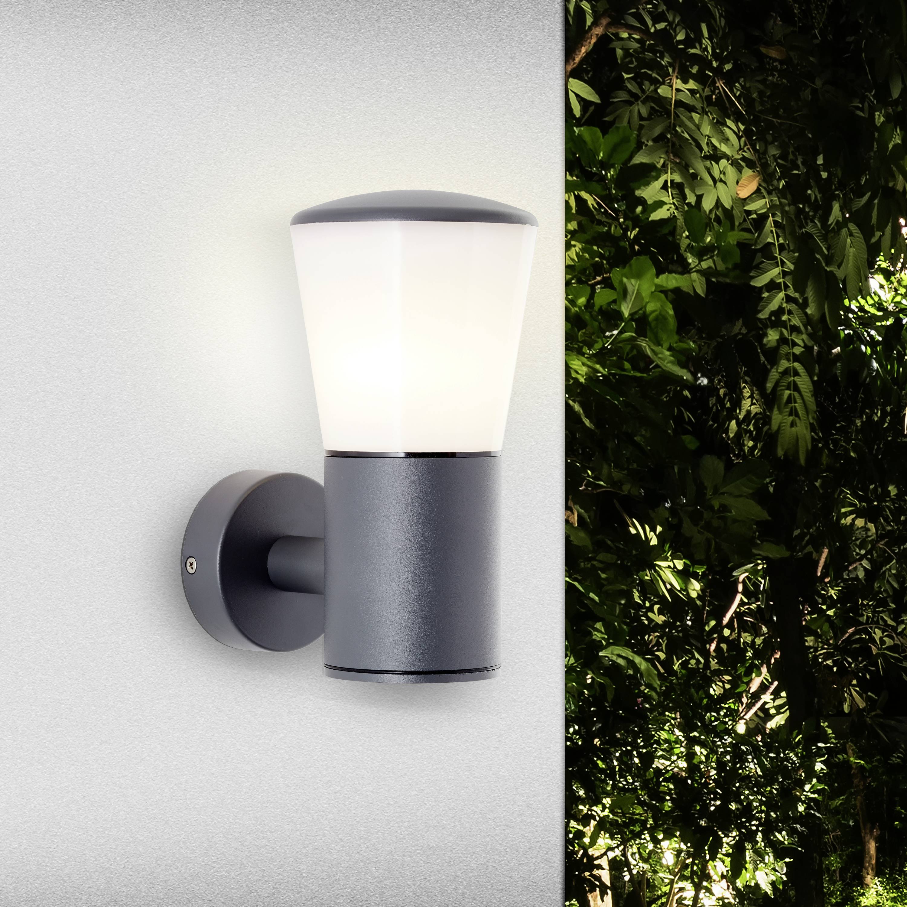 Eine moderne Wandlampe mit schwarzem Gehäuse leuchtet an einer weißen Wand. Rechts sind grüne Pflanzen im Hintergrund sichtbar.