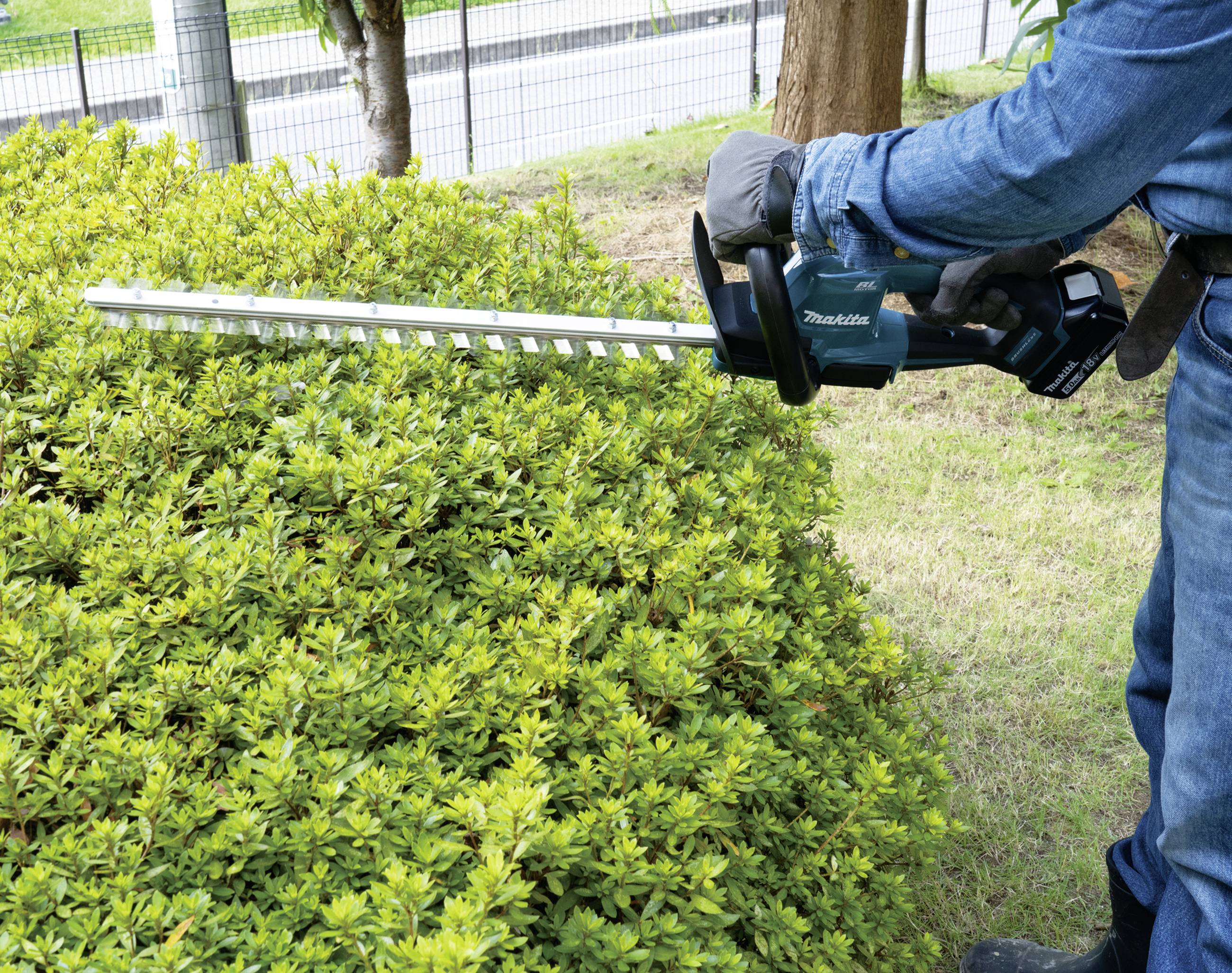 Eine Person in blauer Kleidung trimmt mit einem elektrischen Heckenschneider eine grüne Hecke im Freien.