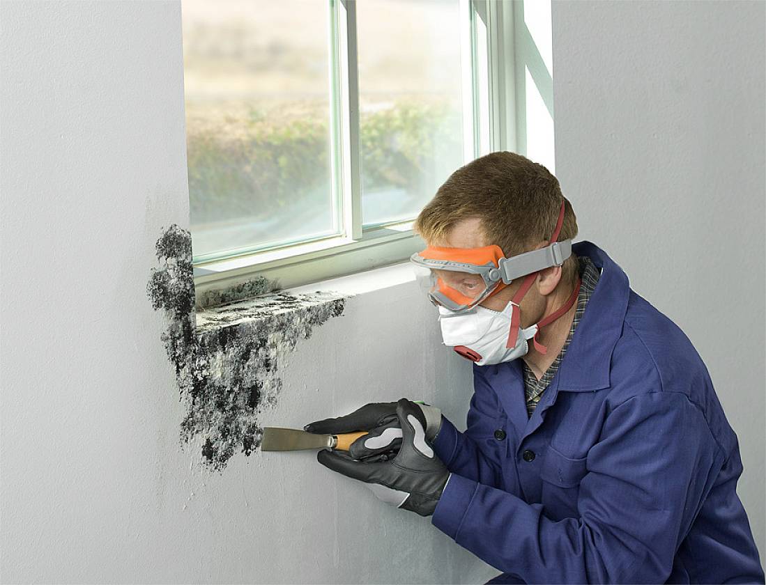 Eine Person in Schutzkleidung entfernt schwarzen Schimmel von einer Wand mit einem Spachtel, nahe einem Fenster.