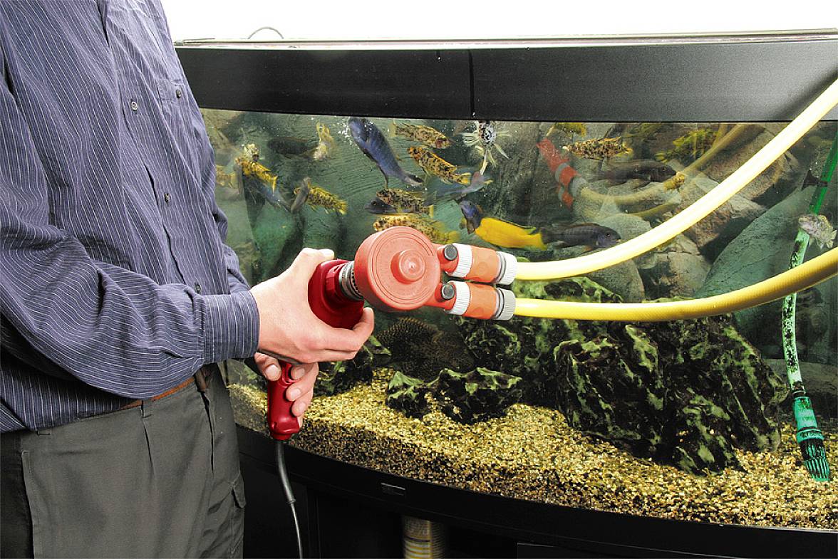 Person reinigt Aquarium mit Gerät; Wasser wird abgesaugt.
