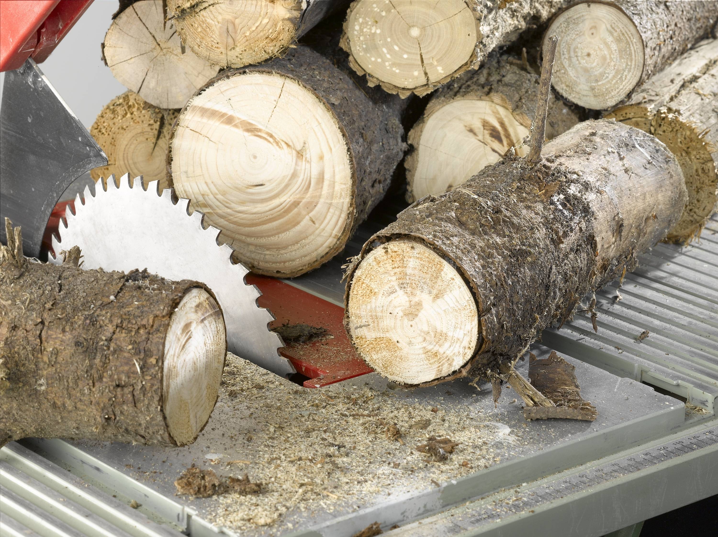 Nahaufnahme von Holzstämmen, die auf einem metallischen Tisch mit einer Kreissäge geschnitten werden. Holzspäne liegen verstreut.