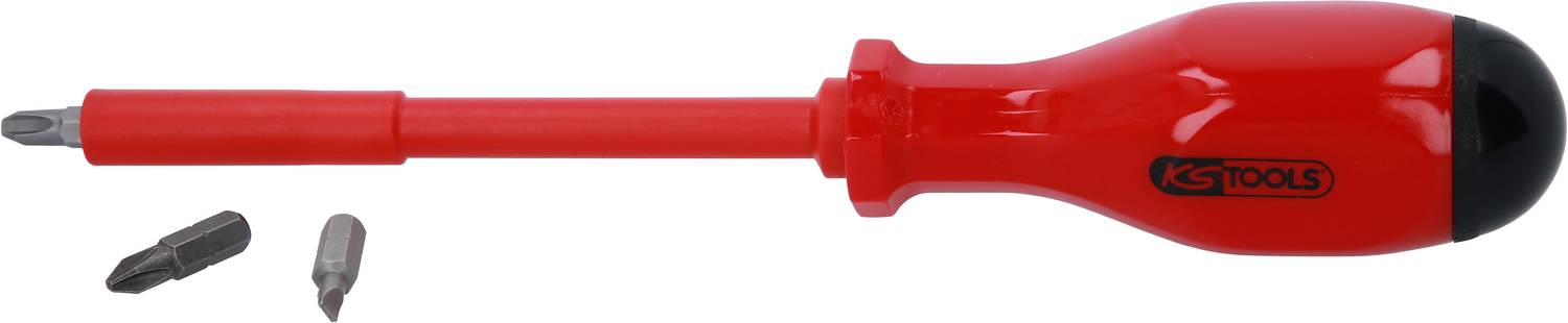Roter Schraubendreher mit zwei austauschbaren Bits daneben.