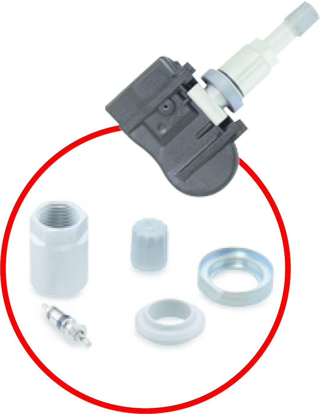 Sensor mit Zubehör, einschließlich Schraubadapter, Dichtungsring, Ventilkappe und Ventileinsatz, in rotem Kreis hervorgehoben.