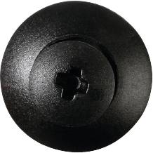 Schwarze Rundkopfschraube mit Kreuzschlitz.