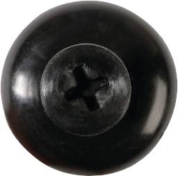 Eine schwarze Schraube mit kreuzförmigem Kopf.