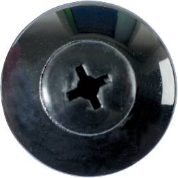Eine schwarze Schraube mit kreuzförmigem Schlitzkopf ist abgebildet.