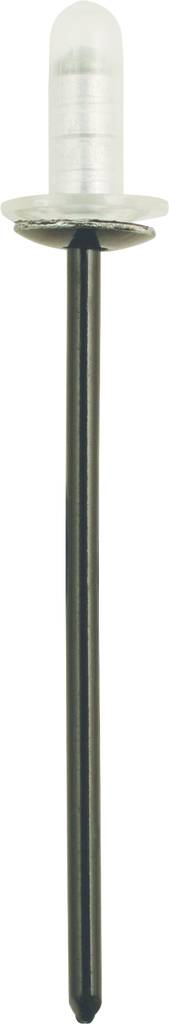 Ein Blindniet mit schwarzem Stift und durchsichtiger Nietkappe, verwendet zum Verbinden von Materialien durch Einführen in ein Loch.