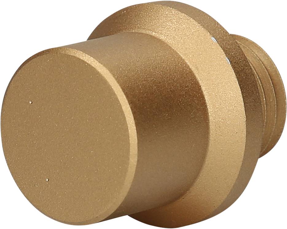 Ein goldener, zylindrischer Objektivdeckel aus Metall, schräg von der Seite gesehen. Glatte Oberfläche, keine sichtbaren Markierungen oder Logos.