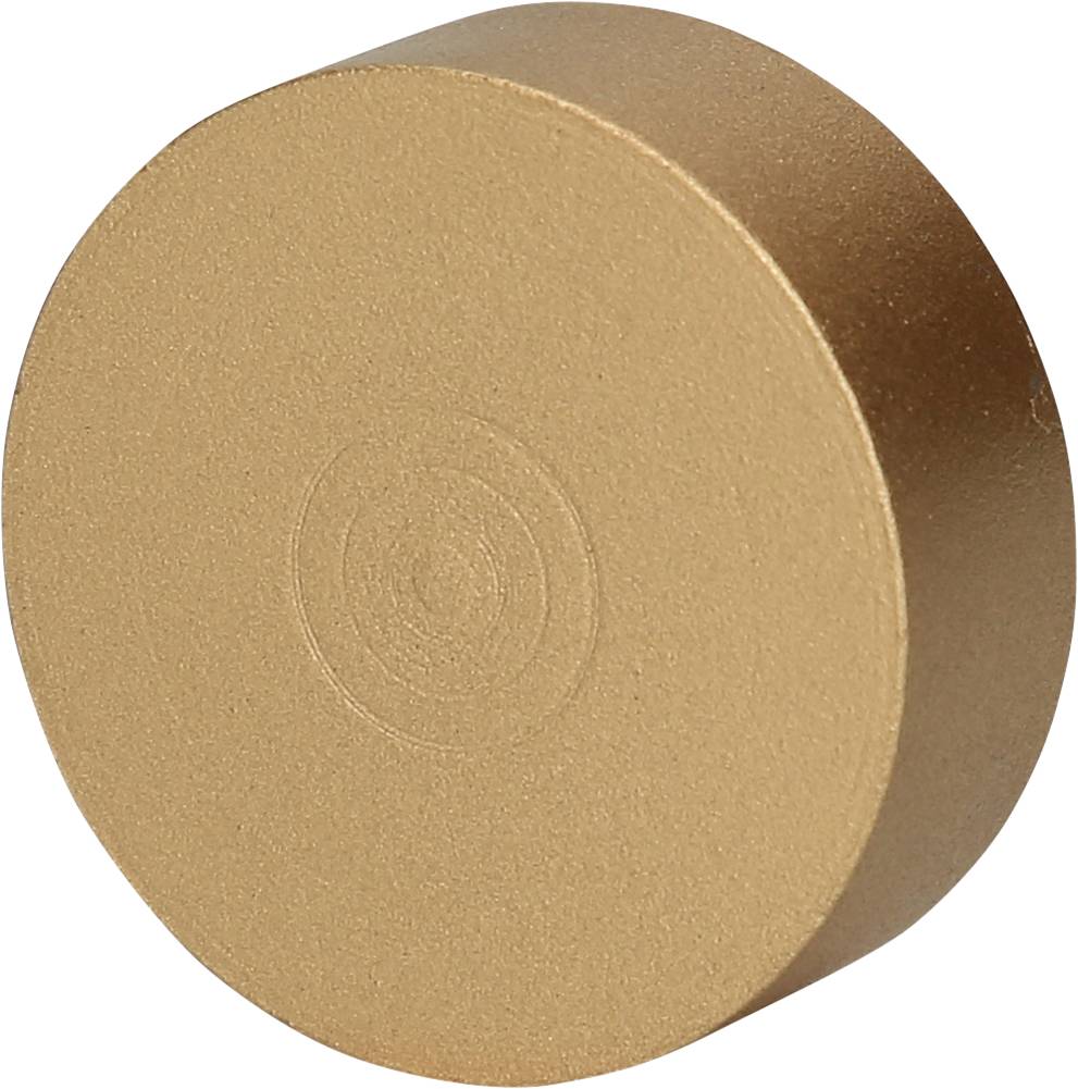 Ein runder, goldfarbener Magnet mit glatter Oberfläche, horizontal platziert.