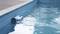 Ein Poolroboter reinigt die blaue Kachelwand eines Swimmingpools. Das Wasser bewegt sich leicht um das Gerät.
