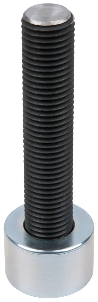 Eine schwarze Schraube mit silbernem Kopf steht senkrecht.