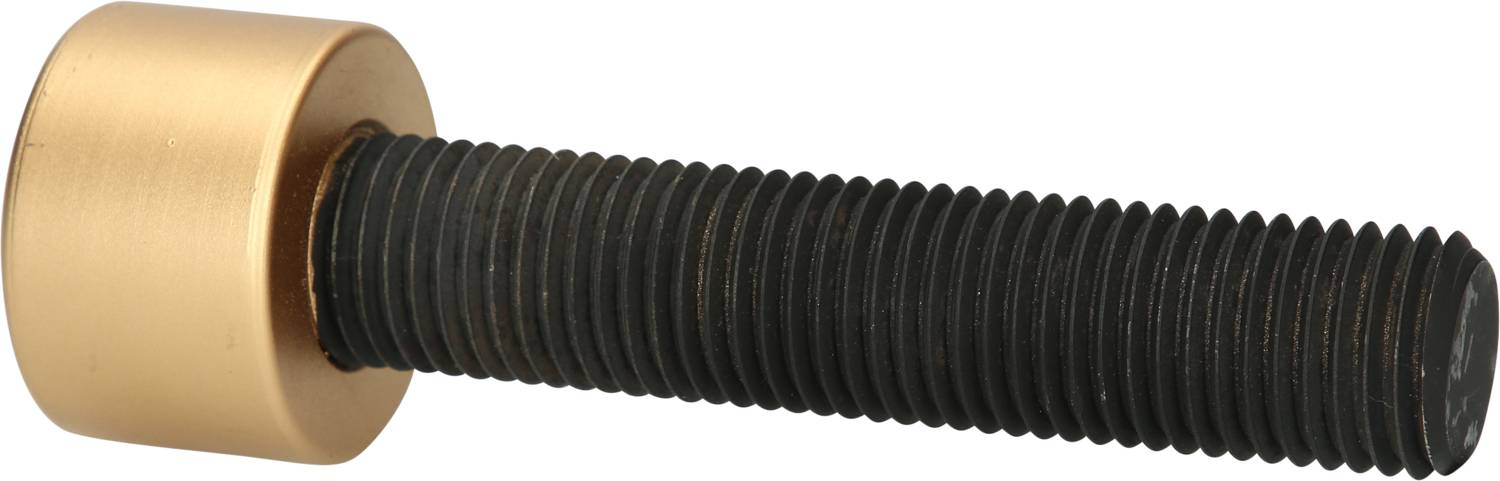 Metallschraube mit goldfarbenem Kopf und schwarzem Gewinde, auf weißem Hintergrund.