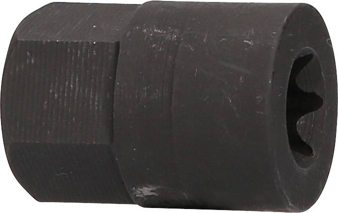 Sechskant-Bit mit Innenprofil-Antrieb, gewindefrei, aus schwarzem Metall. Verwendet zur Verbindung von Teilen mit passenden Schrauben.