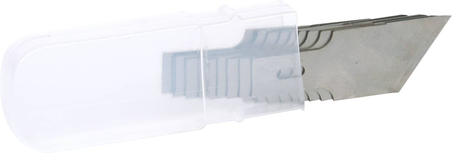 Ein Satz Ersatzklingen in einer durchsichtigen Plastikverpackung; die Klingen haben abgeschrägte Schneidflächen.