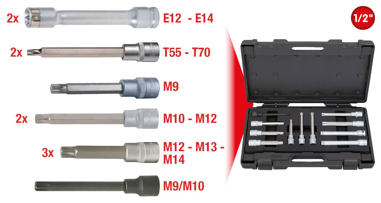 'Ein Satz verschiedener Stecknüsse mit jeweils einem Etikett: E12-E14, T55-T70, M9, M10-M12, M12-M14, M9-M10. Daneben befindet sich ein offener Koffer mit den Nüssen.'